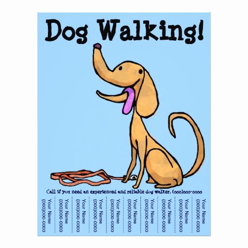 Dog Walking Flyer Template Best Of Dog Walking Flyer