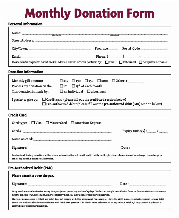 Donation form Template Word Lovely Donation Sheet Template 4 Free Pdf Documents Download