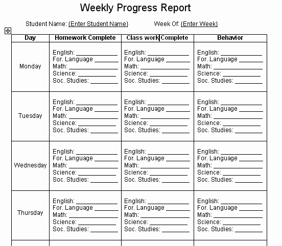 Elementary Progress Report Template Awesome 8 Weekly Progress Report Template Project Management