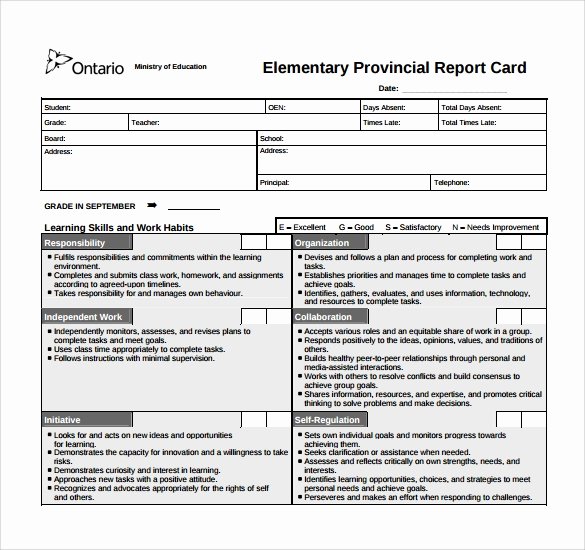 Elementary Progress Report Template Best Of Sample Report Card Template 11 Download Documents In