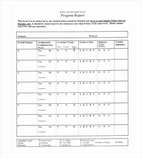 Elementary Progress Report Template New 22 Progress Report Template Free Word Google Docs