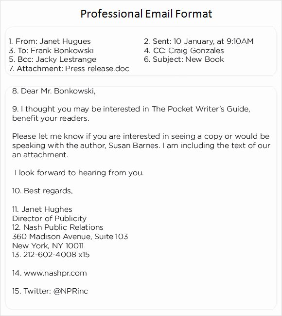 Email Writing Template Professional Luxury 8 Sample Professional Emails Pdf
