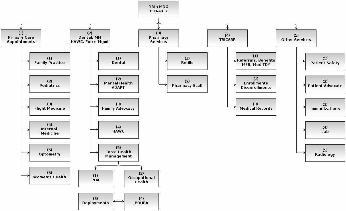 Emergency Call Tree Template Best Of 10 Best Of Medical Family Tree Diagram Genealoy