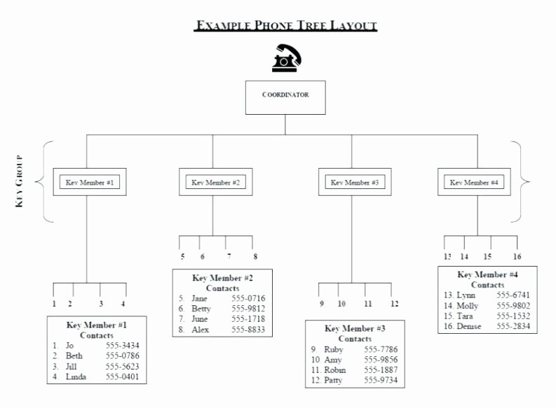 Emergency Phone Tree Template Best Of Phone Tree Diagram Template Printable Download Emergency