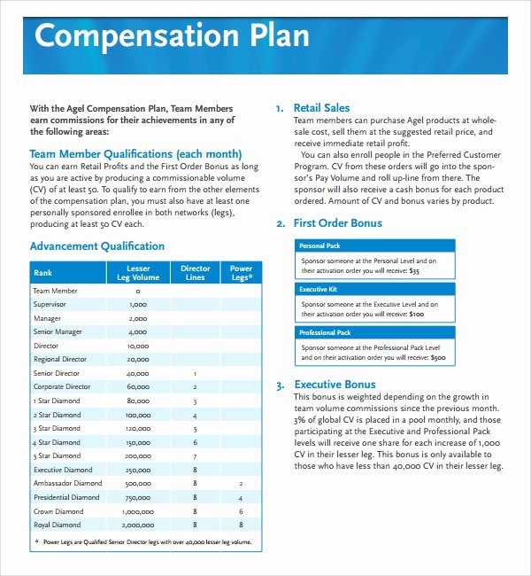 Employee Compensation Plan Template Elegant 9 Pensation Plan Templates