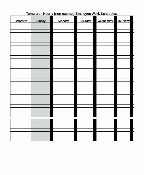 Employee Daily Work Schedule Template Unique Employee Work Schedule Template – Callatishighfo