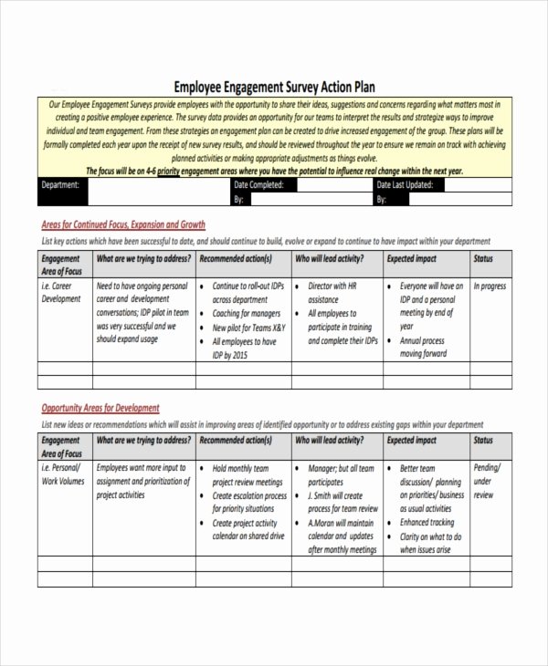 Employee Engagement Plan Template Lovely Employee Action Plan Template 14 Free Sample Example