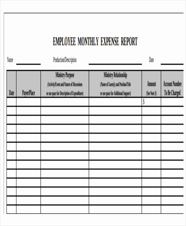 Employee Expense Report Template Elegant 22 Expense Report format Templates