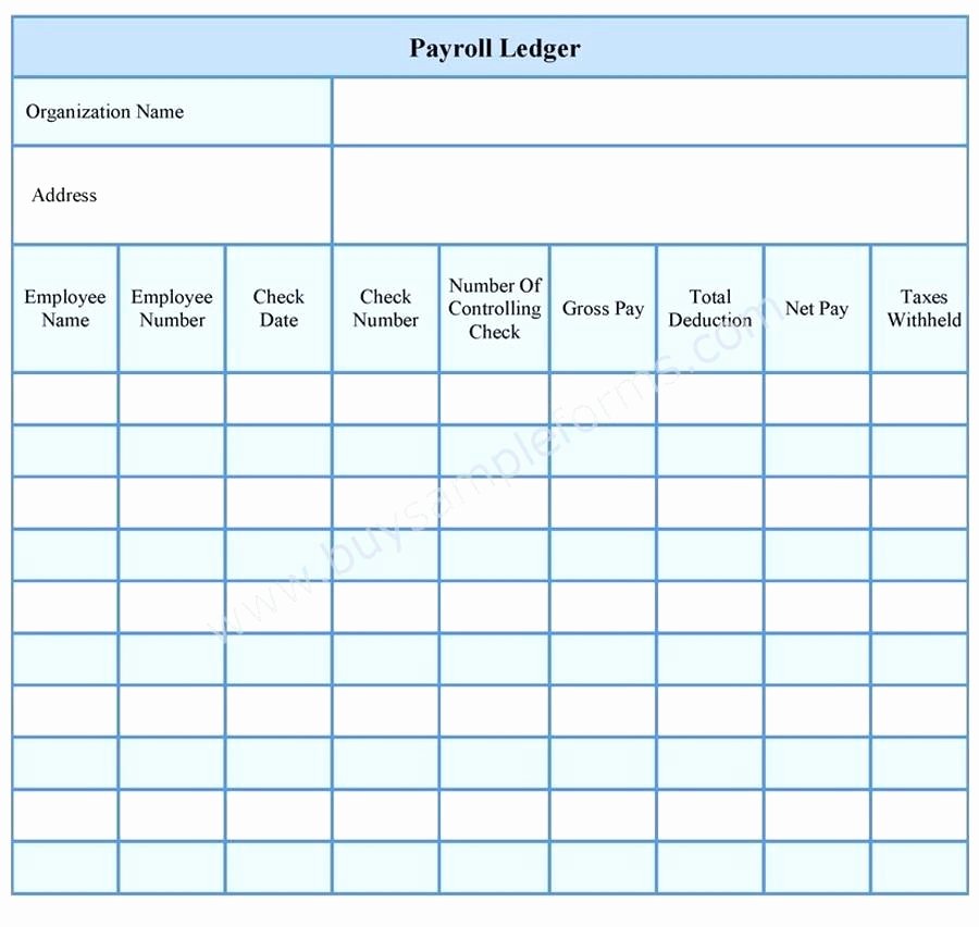 Employee Payroll Ledger Template Luxury Employee Payroll forms Template – Azserverfo