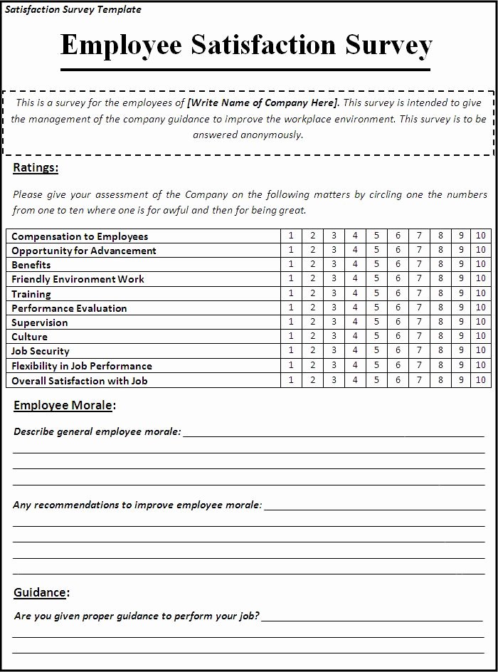 Employee Satisfaction Survey Template Word Best Of Business Templates