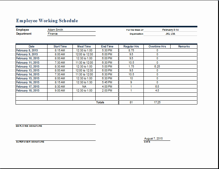 employee work schedule format