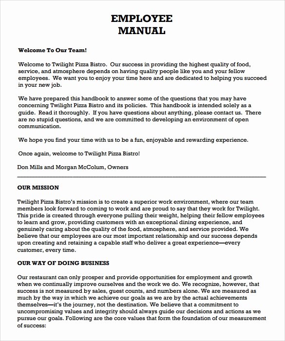 Employee Training Manual Template Awesome 9 Sample Employee Manual Templates