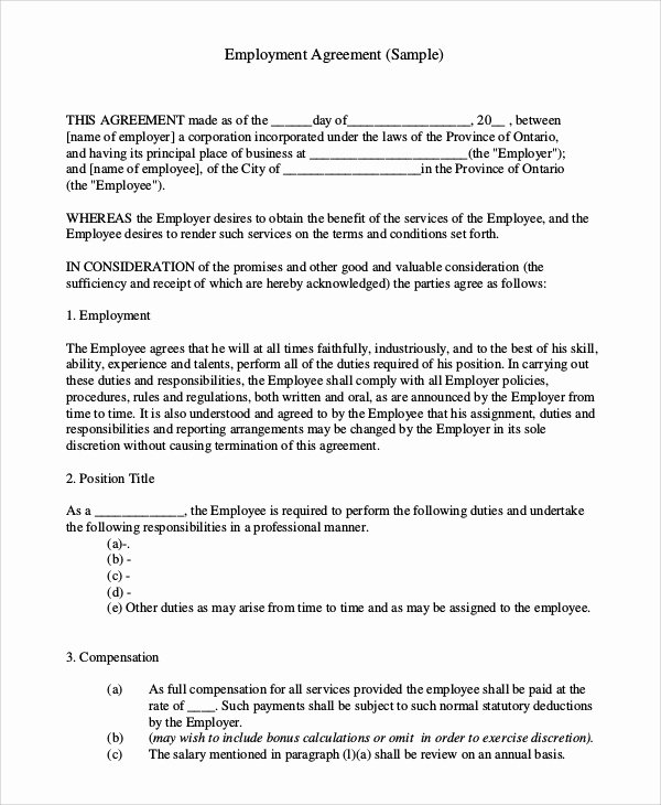 Employment Contract Template Word Inspirational Standard Employment Agreement Sample 18 Examples In Pdf