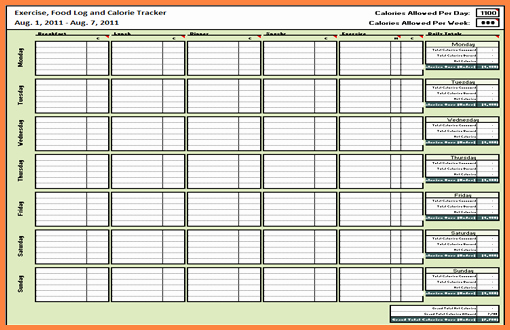 Excel Client Tracking Template Elegant 8 Client Tracking Spreadsheet