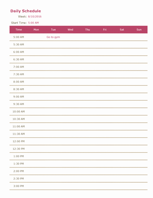 Excel Daily Schedule Template Awesome Microsoft Excel Weekly Schedule Template