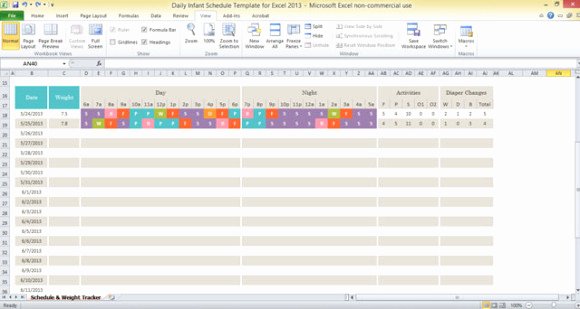 Excel Daily Schedule Template Best Of Daily Infant Schedule Template for Excel 2013
