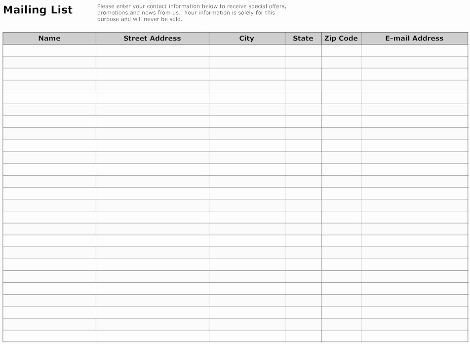 Excel Mailing List Template New Mailing List Template