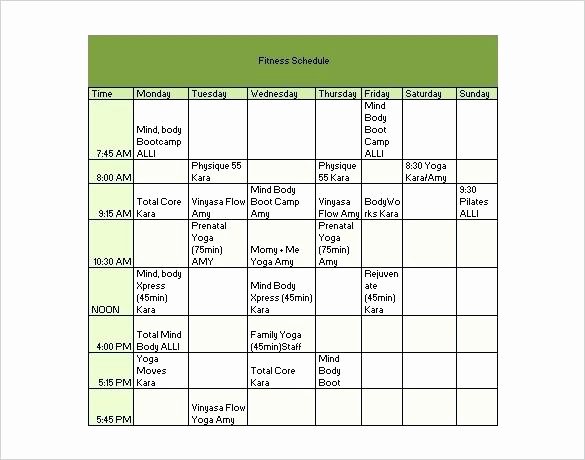 Excel Training Schedule Template Lovely Training Schedule Program Template Simple Plan Example