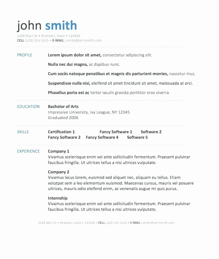Executive Hybrid Resume Template Best Of Hybrid Resume Template Word 30 Executive Hybrid Resume