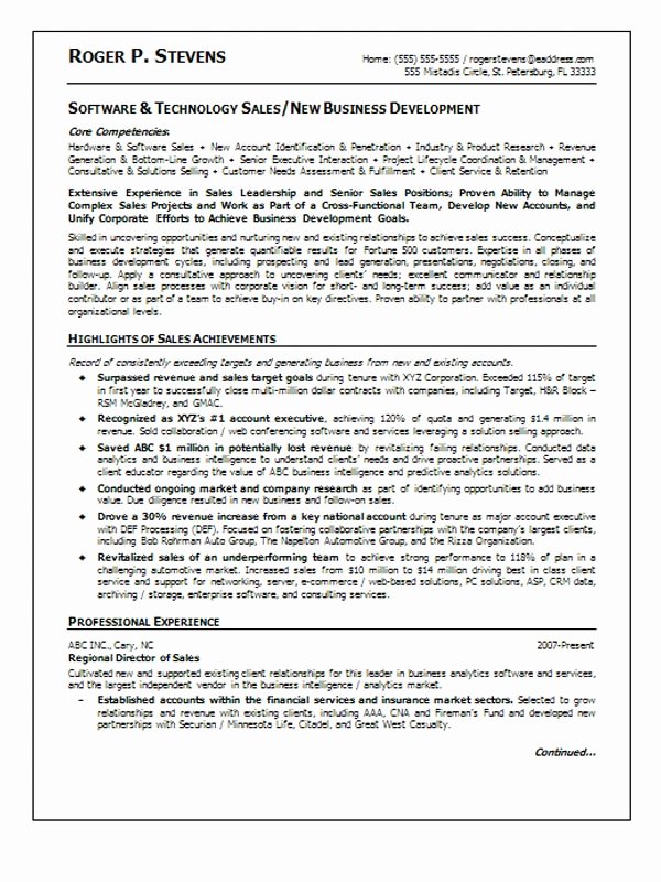 Executive Hybrid Resume Template Lovely Hybrid Resume