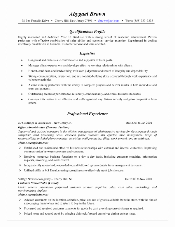 Executive Hybrid Resume Template Unique 9 Hybrid Resume Example