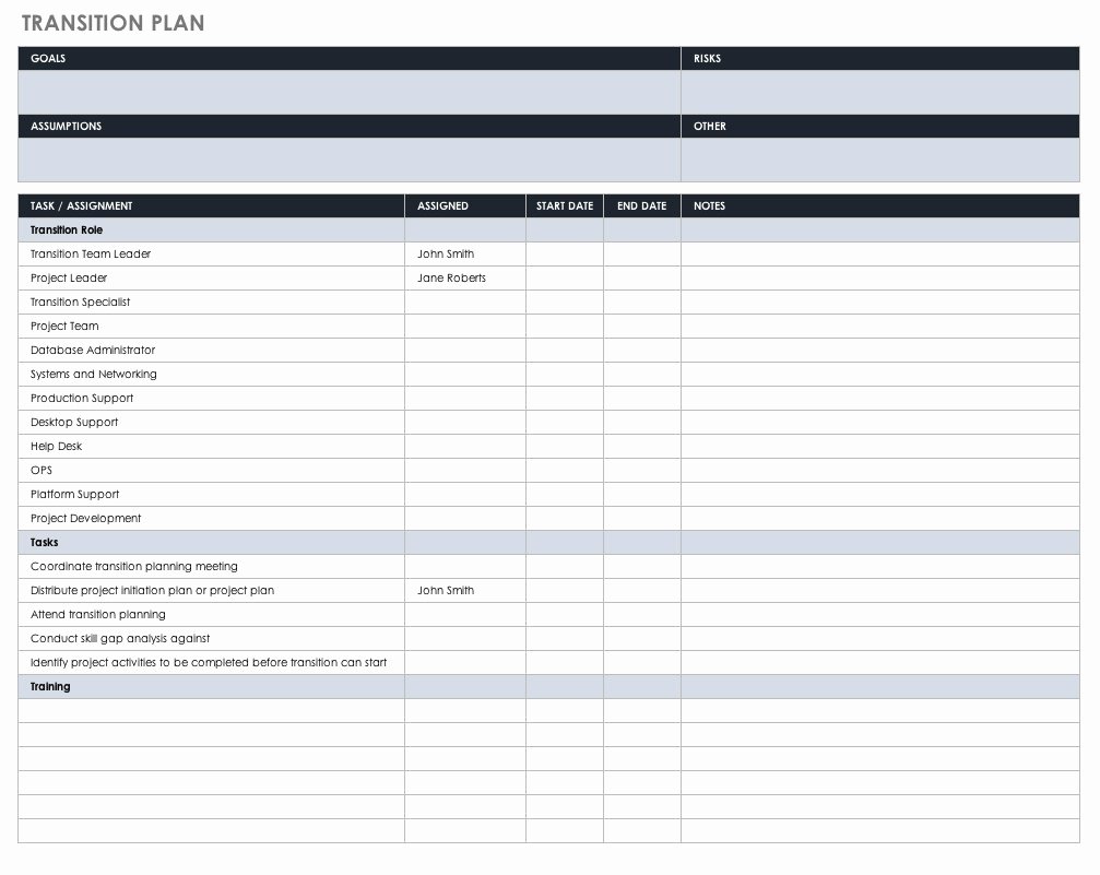 Executive Transition Plan Template Best Of Strategic Human Resource Management