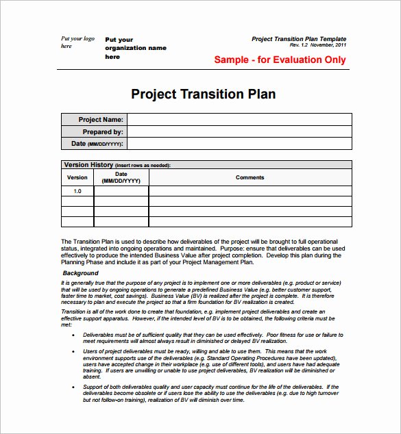 Executive Transition Plan Template Inspirational 23 Project Plan Template Doc Excel Pdf