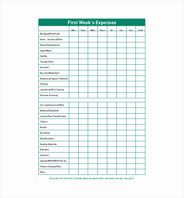 Expense Tracking Sheet Template Luxury 12 Bud Tracking Templates – Free Sample Example
