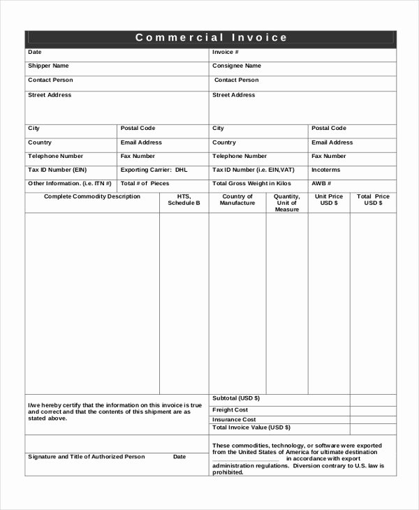 Export Commercial Invoice Template Unique 20 Blank Invoice Examples &amp; Samples