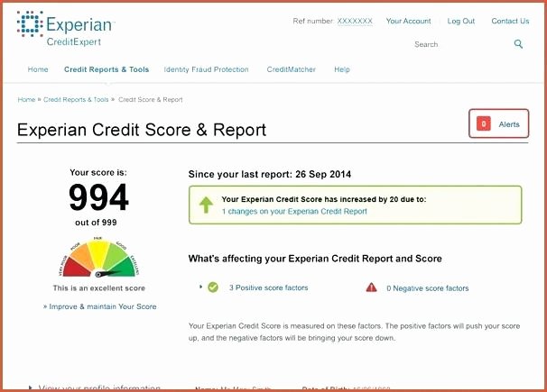 Fake Credit Score Template Awesome Credit Report Template In Fake sokobanjs