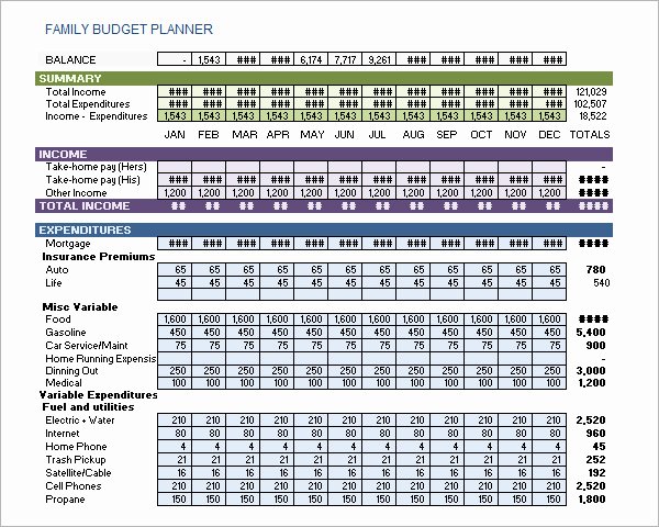 Family Budget Planner Template New 11 Family Bud Samples