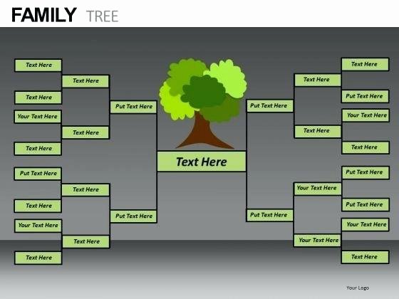 Family Tree Website Template Best Of Beautiful Family Tree Template – Webbacklinksfo