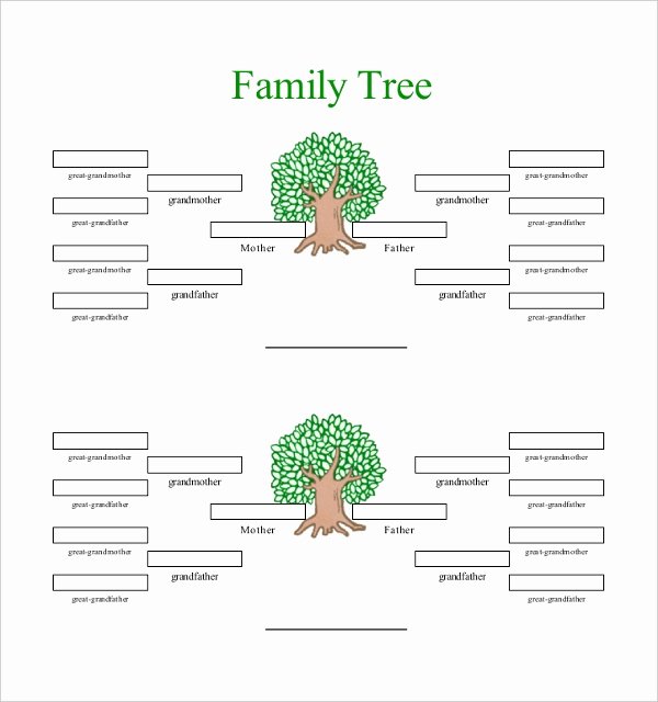 Family Tree Website Template New 51 Family Tree Templates Free Sample Example format