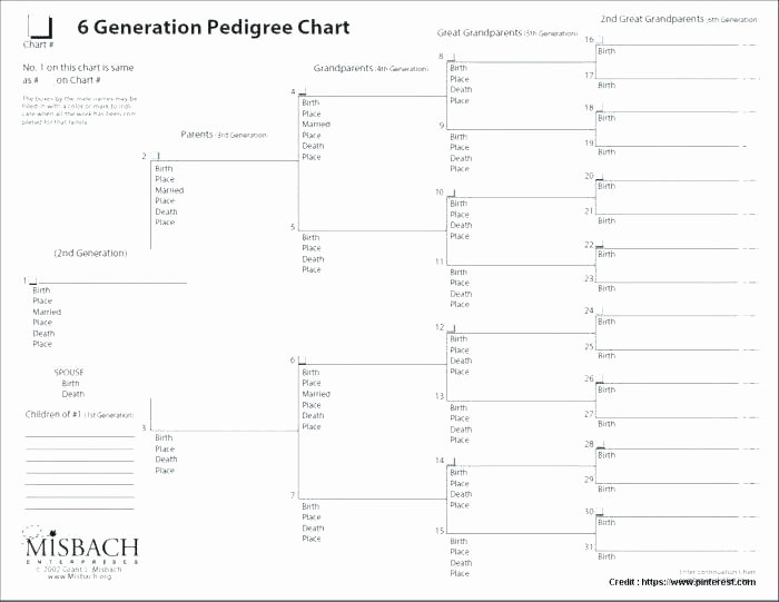 Family Tree Website Template New Free Family Tree Chart Template Ancestry Pedigree Maker