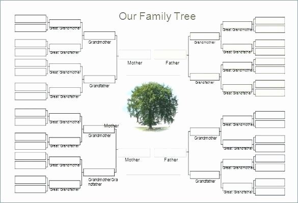 Family Tree Website Template New Template Fillable Family Tree Template