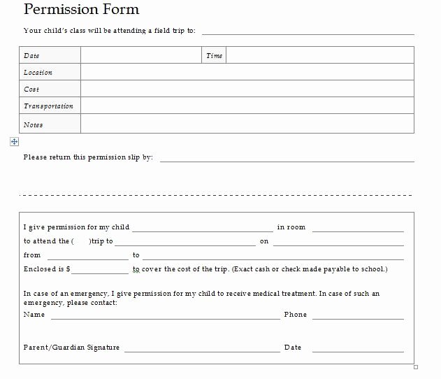 Field Trip form Template New 35 Editable Permission Slip Templates Education