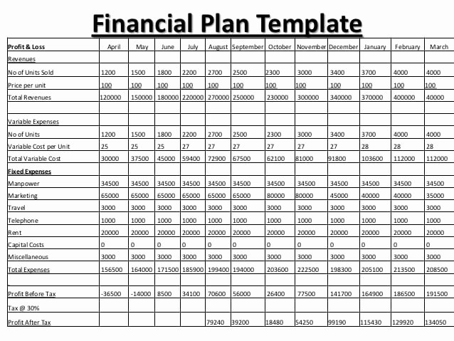 Financial Business Plan Template New 8 Financial Plan Templates Excel Excel Templates