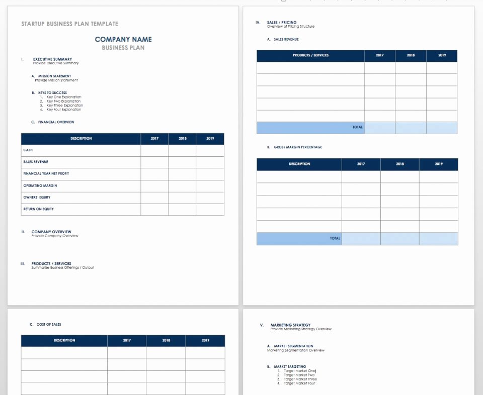Financial Plan Template Free Unique Financial Planning Spreadsheet fortups Business Plan