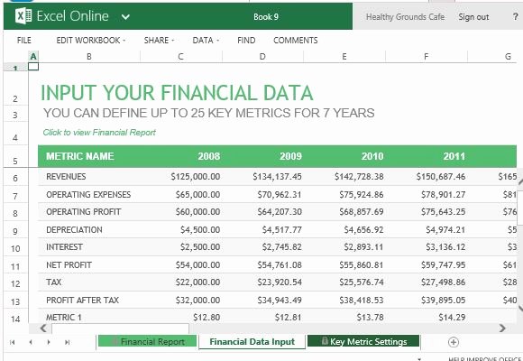Financial Report Template Excel Beautiful Annual Financial Report Template for Excel Line