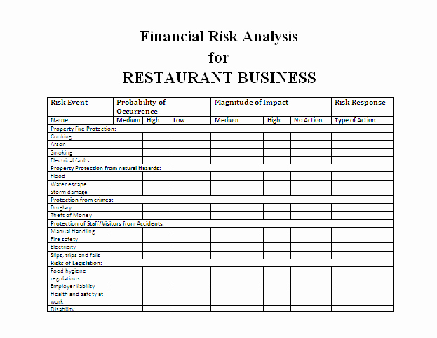 Financial Risk assessment Template Inspirational Printable forms Part 6