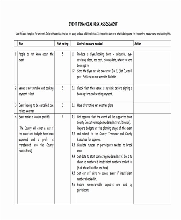 Financial Risk assessment Template New 47 assessment form Examples
