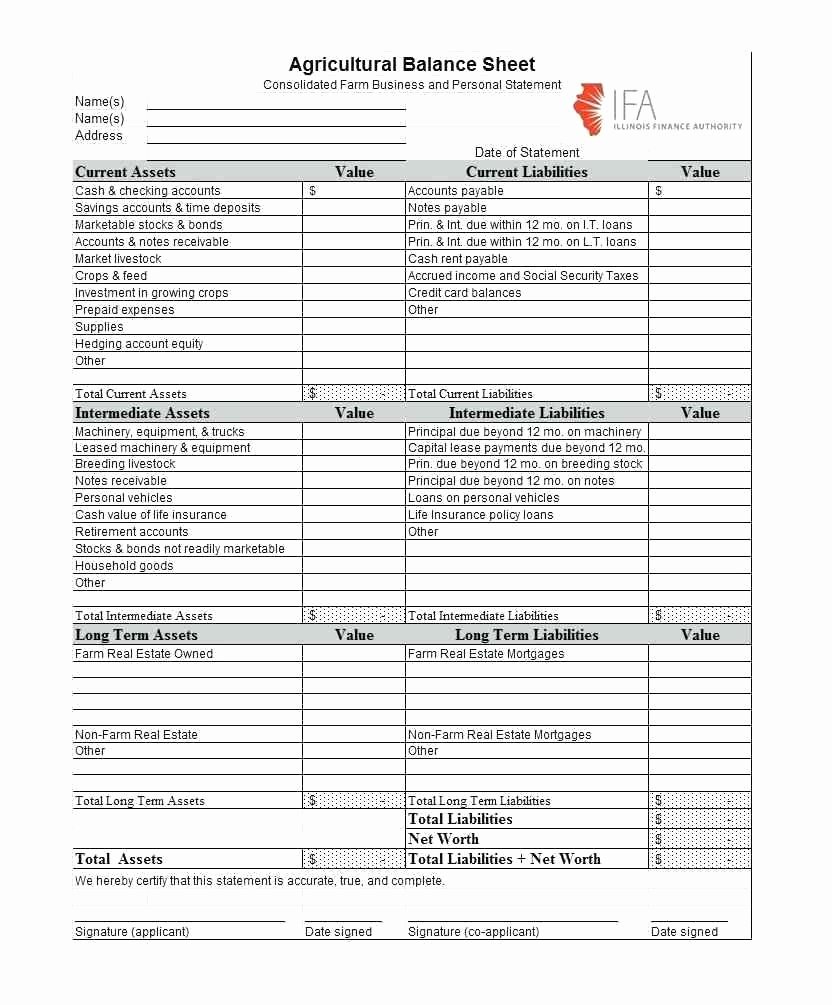 Financial Statements Excel Template Fresh Consolidated Financial Statement Template