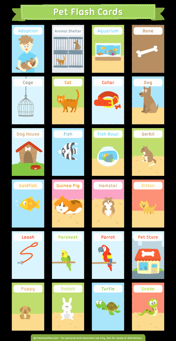 Flash Card Template Pdf Unique Pin by Muse Printables On Flash Cards at Flashcardfox