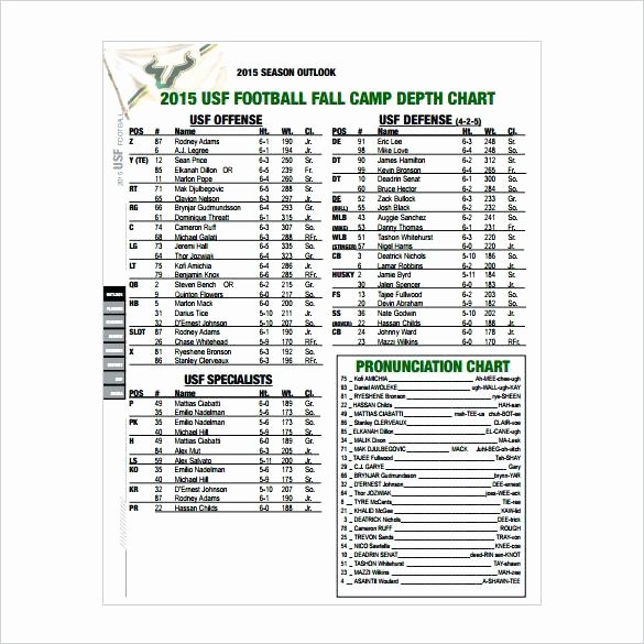 Football Depth Chart Template Excel Best Of Roster Youth Football Template Unique Team Picture