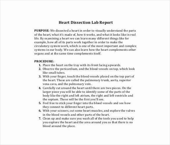 Formal Lab Report Template Fresh 28 Lab Report Templates Pdf Google Docs Word Apple
