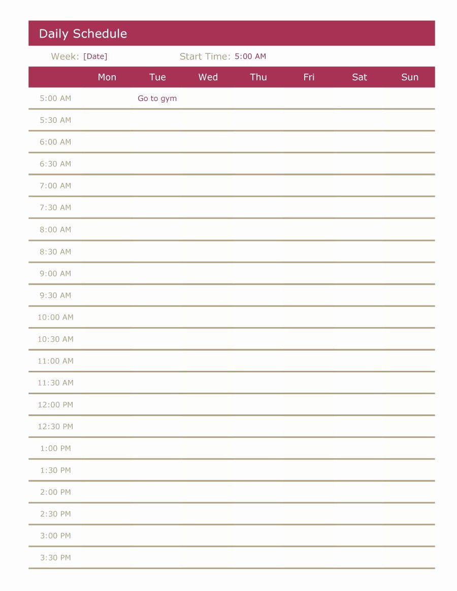 Free Daily Schedule Template Awesome 40 Printable Daily Planner Templates Free Template Lab