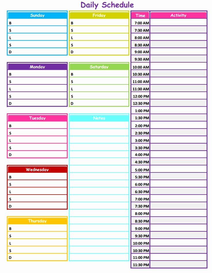 Free Daily Schedule Template New 1 2 3 Neat &amp; Tidy Daily Schedule Free Printable