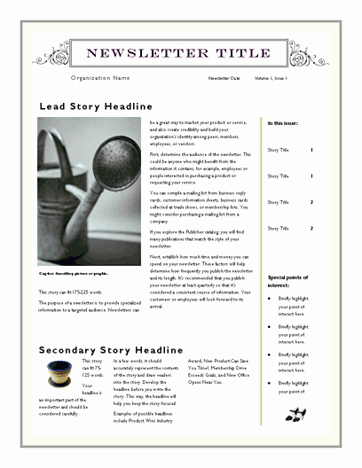 Free Downloadable Newsletter Template New Free Newsletter Template for Word 2007 and Later