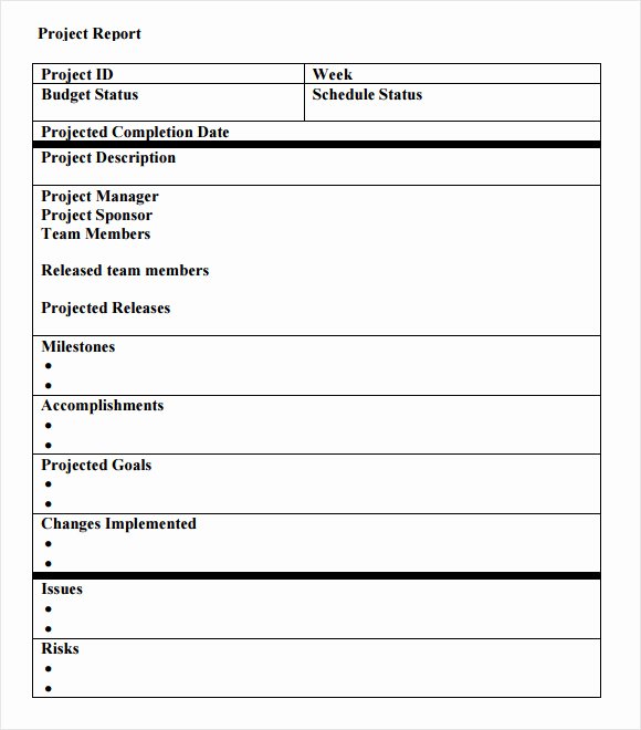 Free Project Status Report Template Awesome 14 Sample Project Status Reports – Pdf Word Pages