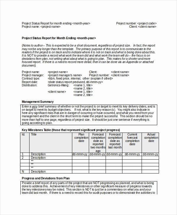 Free Project Status Report Template Fresh 19 Printable Project Status Report Templates Google Docs